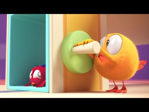 Chicky's elevator | Where's Chicky? | Cartoon Collection in English for Kids | New episodes HD