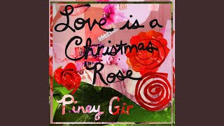 Love Is a Christmas Rose