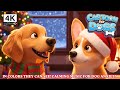 Christmas Dog Cartoon In Colors They Can See Anti Anxiety Prevent Boredom ️ Music For Dogs