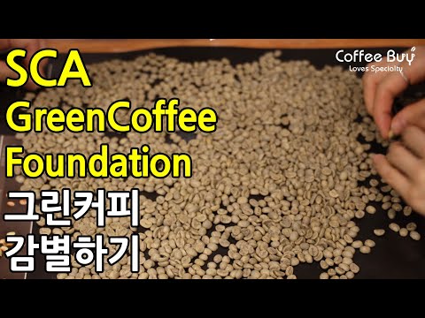 [SUB] SCA 그린 커피 초급 자격증 과정 | SCA Green Coffee Foundation Course by Coffeebuy