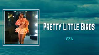 Lyrics: sza - Pretty Little Birds