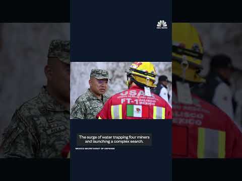 Mexican miner rescued after nearly two weeks underground
