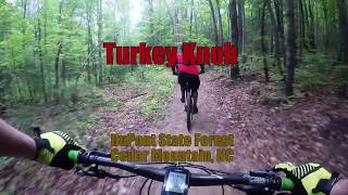 Turkey Knob - Downhill to Briery Fork