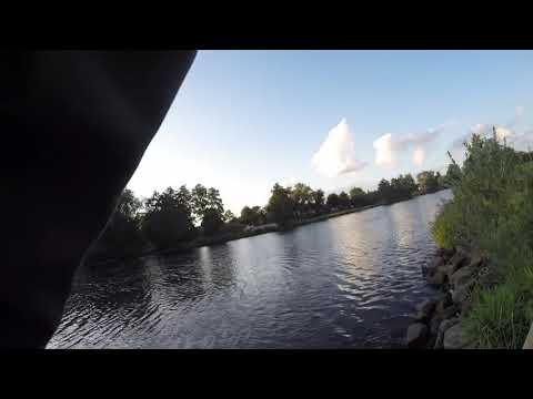 Brutalster Zander biss Ever, LIVE!!!!