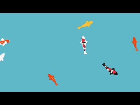 Colored carp lwp Video