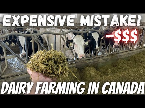 Mistake Could've Cost Us Thousands!