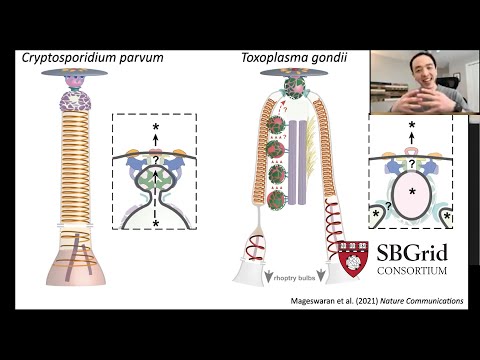 Prof Yi-Wei Chang - CryoET & rhoptry secretion system in apicomplexan parasites