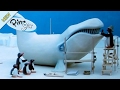 Pingu And The School Trip Pingu Official Channel