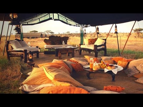 Lujo y Aventura se Unen en el Corazón del Serengeti