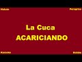 Karaoke /  La Cuca - Acariciando