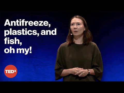 Road salt is destroying our environment. Fish could help. | Monika Bleszynski | TEDxMileHigh