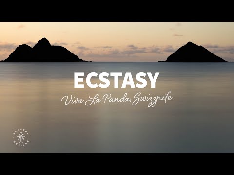 Viva La Panda, Swizznife - Ecstasy (Lyrics)