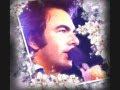 Theme -  Neil Diamond