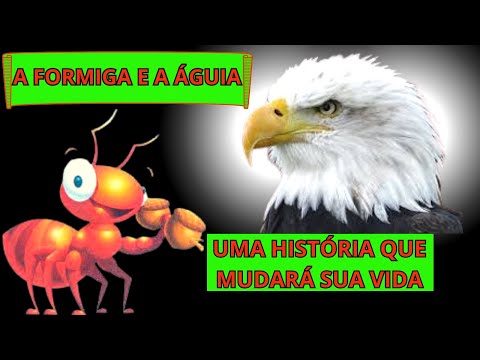 A FORMIGA E A ÁGUIA UMA HISTÓRIA QUE MUDARÁ SUA VIDA
