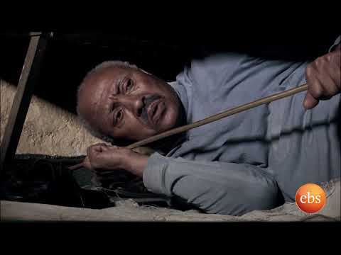 (50) ሃምሳ አለቃ ገብሩ የታገል ሠይፉ አዝናኝ ግጥም EBS Special Gena Show: Tagel Seyfu - Hamesaleka Gebru