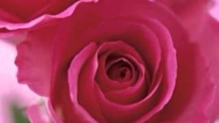 O Yaara [Full Song] (HD) - Mashooq