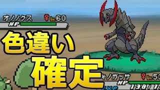 オノノクス ポケットモンスター ビッパ クスネ トロピウス