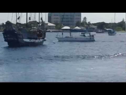 Pimpin Magnolia - On A Cruise/ Mgm Feat.Rob Brown