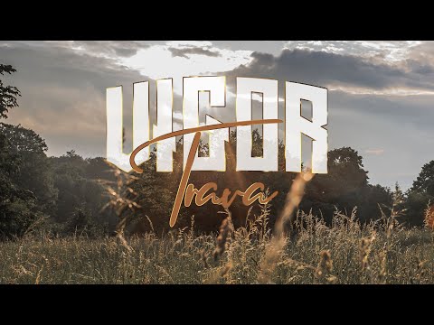 VIGOR - TRAVA (OFFICIAL VIDEO 2024)