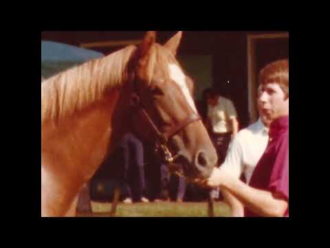 CHRHF 2012 Inductee - L'Alezane