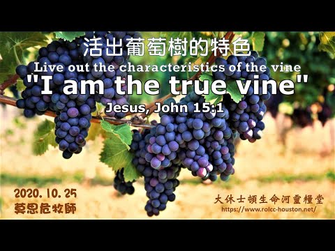 |  莫思危牧師 | 2020.10.25  活出葡萄樹的特色
