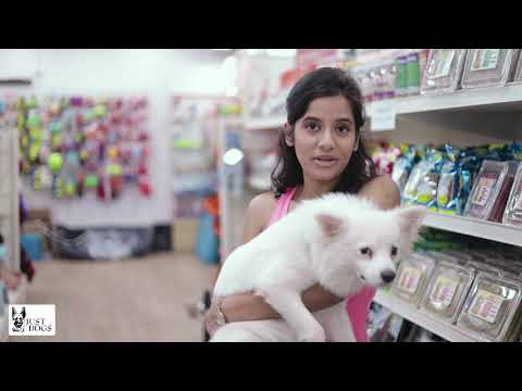 Just Dogs Customer Testimonial - Ishika with her pet Casper