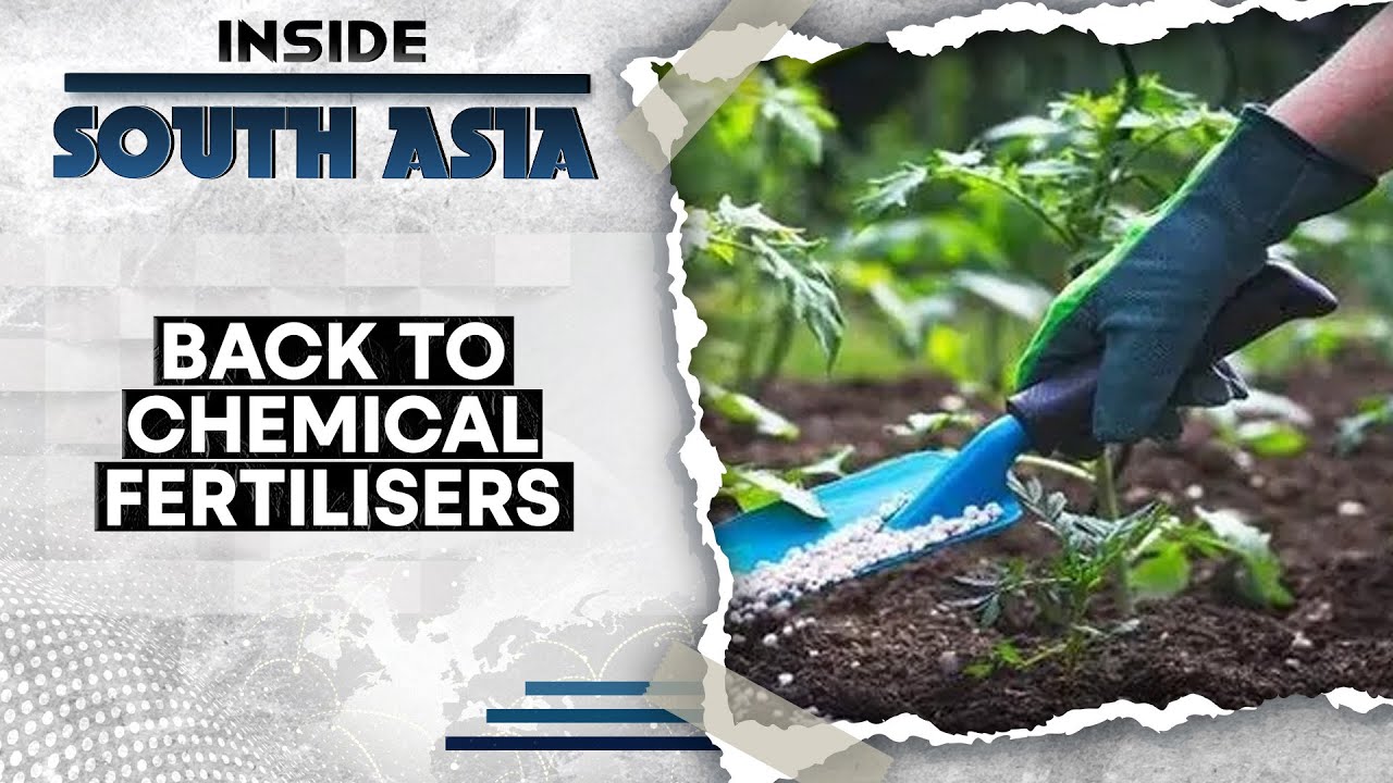 Organic to Chemical Fertilisers: A Story of Sri Lankan Farmers' Struggle | Inside South Asia | WION