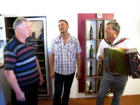 Oplotničani s Tinetom Lesjakom-Najini spomini (v živo)