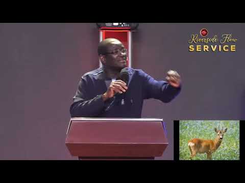 What It Means To Be A Sheep Without A Shepherd | Bishop Eddy Addy