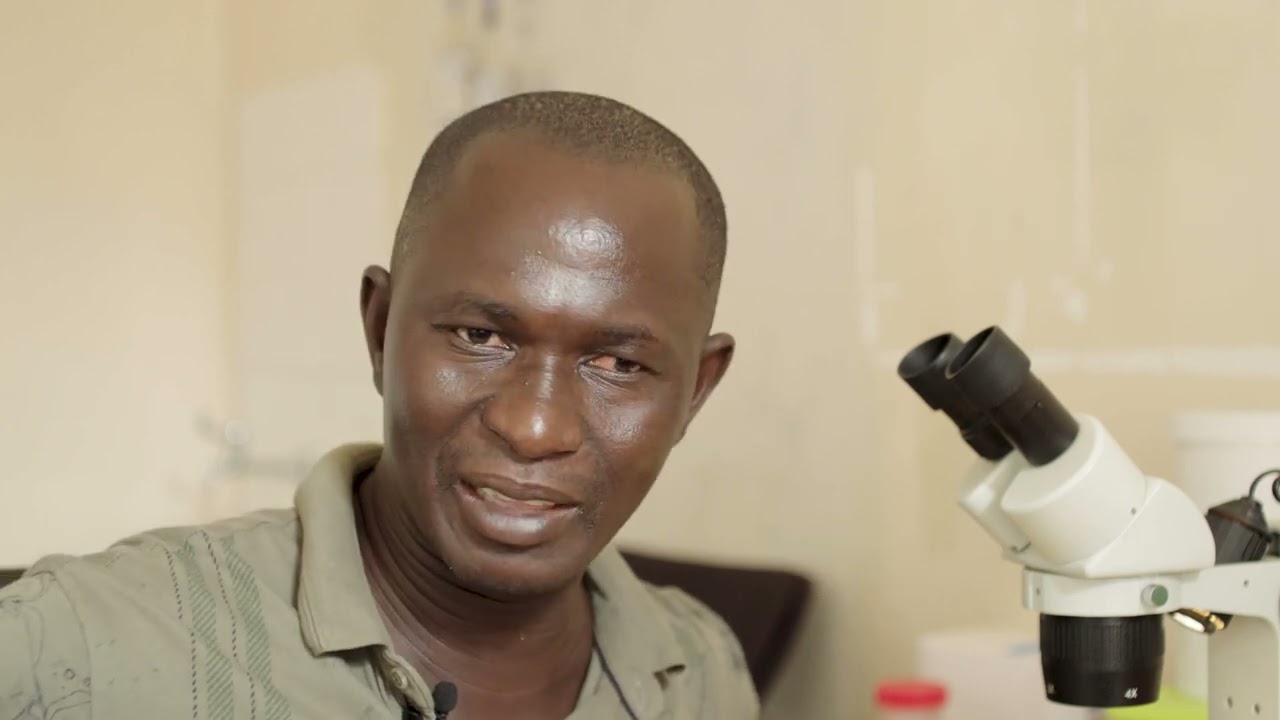 Prevenção da Malária na Guiné-Bissau | PNUD Guiné-Bissau