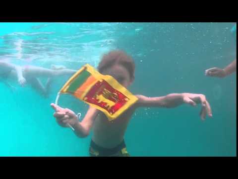 download lagu mp3 mp4 Sri Lanka Independence Day Quotes, download lagu Sri Lanka Independence Day Quotes gratis, unduh video klip Sri Lanka Independence Day Quotes