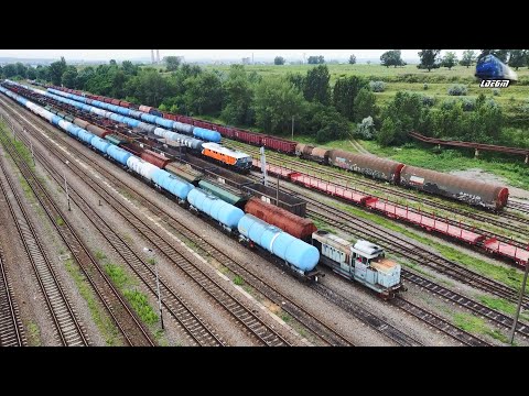 Trenuri & Activitate Feroviară în Gara Episcopia Bihor - 27 Iunie 2024