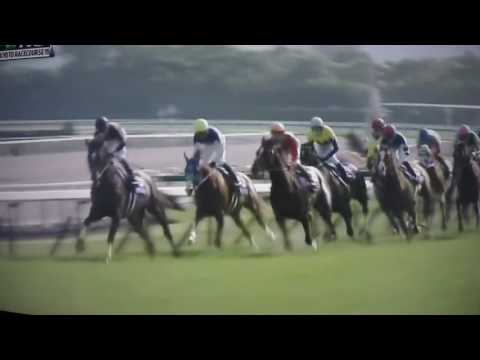 TENNO SHO (SPRING) - G1 2017 - KITASAN BLACK !!!