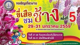 ขี่เสือชมช้าง ครั้งที่ 5