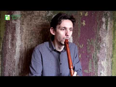Low whistle D key rosewood by HarmonyFlute
