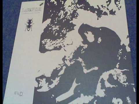 Tieum & Ophidian - Dark Is A Part Of You