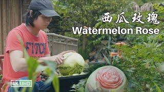 「 Watermelon Rose Carving 丨果雕玫瑰」4K UHD丨小喜XiaoXi丨手工自制雕花刀，在普通西瓜上种出了一朵“玫瑰花”