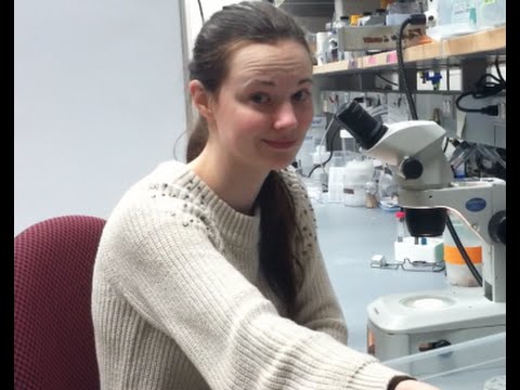 Turning Science into Art