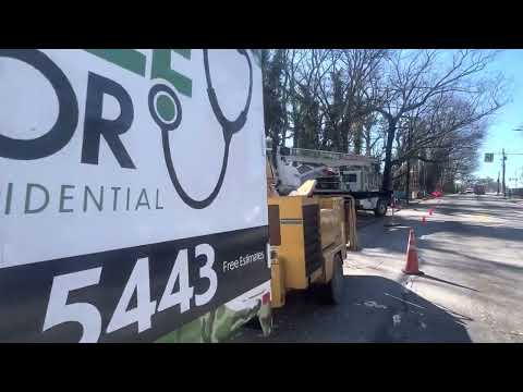 Life's Tree Doctor, LLC YouTube video thumbnail 16