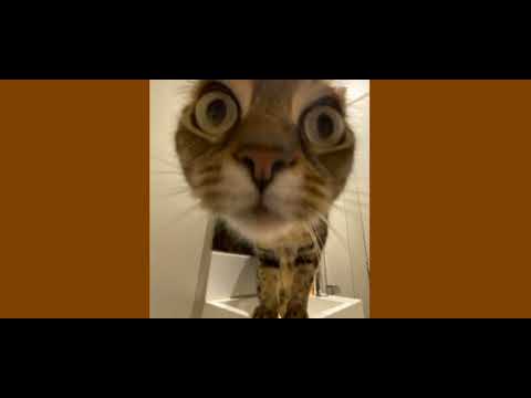 S1KE X Nana -Nu mai vin (Speed Up)