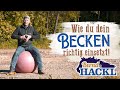 Der Richtige Einsatz Des Beckens Beim Traben Bernd Hackl Erklärt