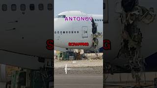 Download lagu Spirit's Dog SAVES Antonov's Uncle 😳 mp3 Download lagu Spirit's Dog SAVES Antonov's Uncle 😳 mp3