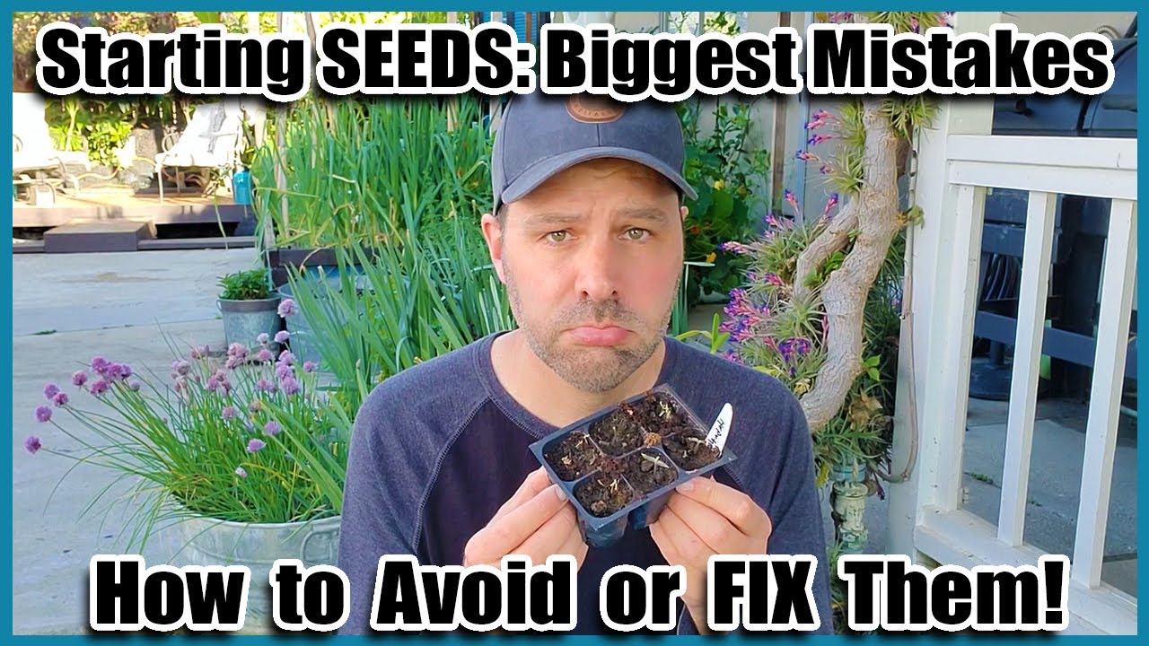 Watch video 3 Biggest Mistakes When Starting Seeds Indoors or Outdoors // How to Avoid or Fix Them! Now 3 Biggest Mistakes When Starting Seeds Indoors or Outdoors // How to Avoid or Fix Them!