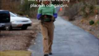 &#39;Good Bye Forever&#39; song written for this precious young female Bobcat.