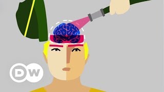 Miniatura do vídeo