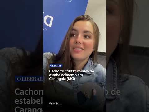 Cachorro “furta” chinelo de estabelecimento em Carangola (MG)