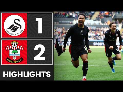 bg-highlight