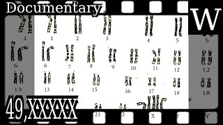 49XXXXX - WikiVidi Documentary
