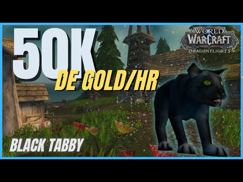FAÇA MUITO GOLD COM ESTE PET - Black Tabby - Guia de Farm de Gold - World Of Warcraft