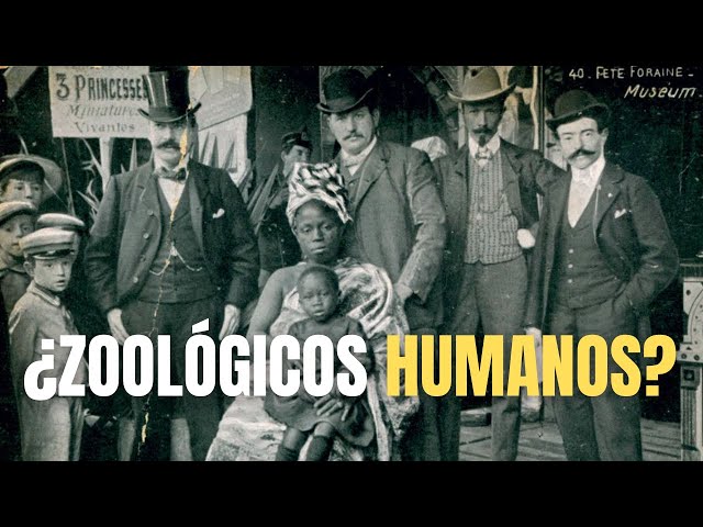 Vídeo relacionado con Director del zoológico Roarsome Zoo Director Funny Zoo Curator Camiseta sin Mangas